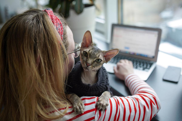 «Собственники стали более категоричны»: кому сложно снять жилье в Москве «Собственники стали более категоричны»: кому сложно снять жилье в Москве
