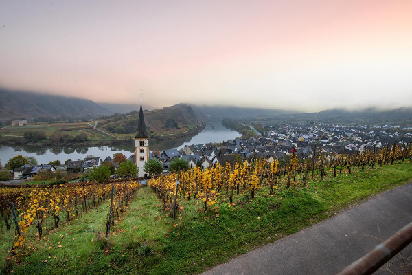 Как выглядят самые красивые винные города мира Как выглядят самые красивые винные города мира