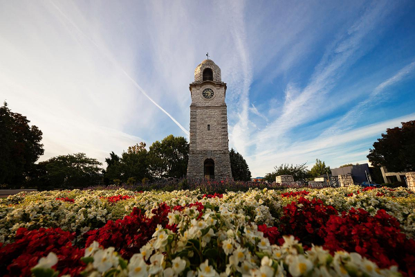 Как выглядят самые красивые винные города мира Как выглядят самые красивые винные города мира
