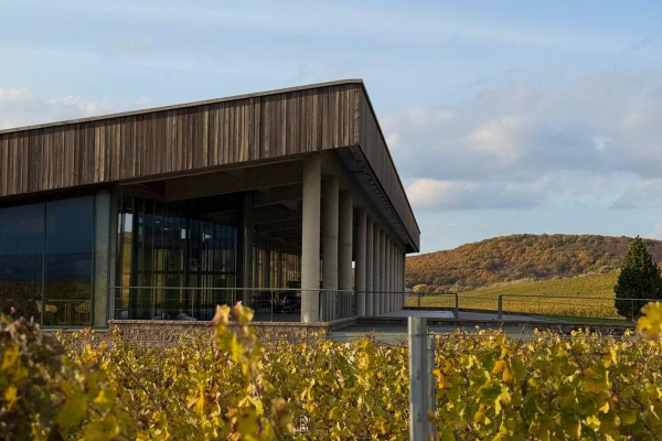 Как выглядят самые необычные винодельни России Как выглядят самые необычные винодельни России