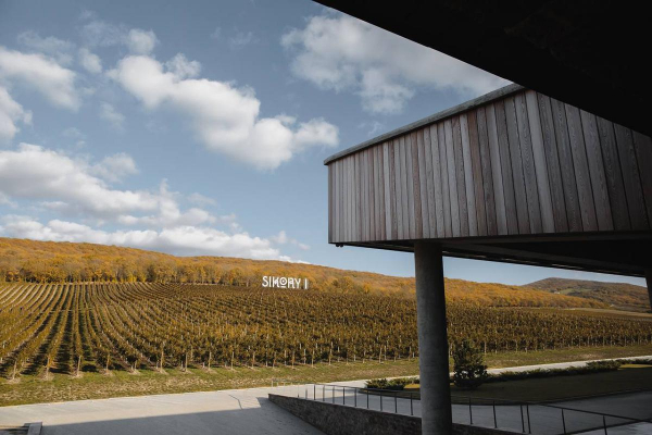 Как выглядят самые необычные винодельни России Как выглядят самые необычные винодельни России