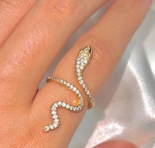 Варианты украшений со змеей — 4 топовых идей Варианты украшений со змеей — 4 топовых идей