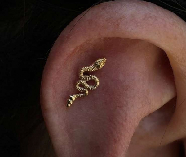 Варианты украшений со змеей — 4 топовых идей Варианты украшений со змеей — 4 топовых идей