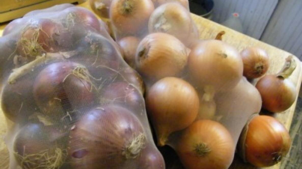 Будет сухим и свежим: как хранить лук на 3 месяца дольше Будет сухим и свежим: как хранить лук на 3 месяца дольше