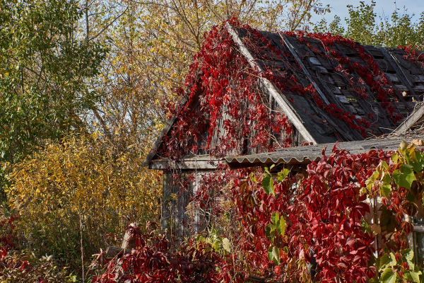 За что могут оштрафовать дачников в 2025 году