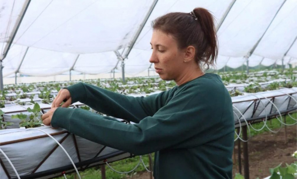 Ксения Сосункевич: какой бы ни был кризис, люди все равно будут покупать клубнику Ксения Сосункевич: какой бы ни был кризис, люди все равно будут покупать клубнику