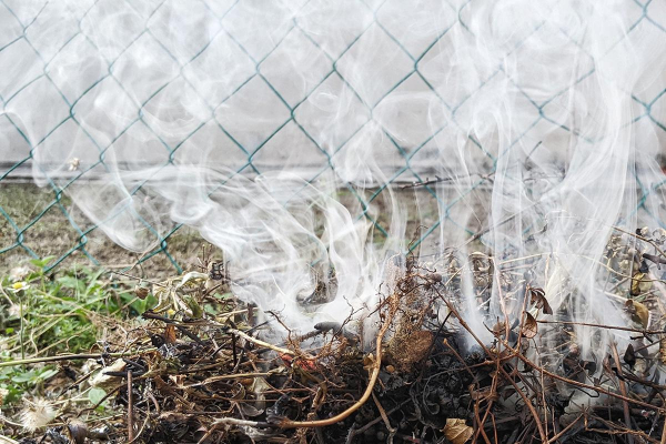 За что могут оштрафовать дачников в 2025 году