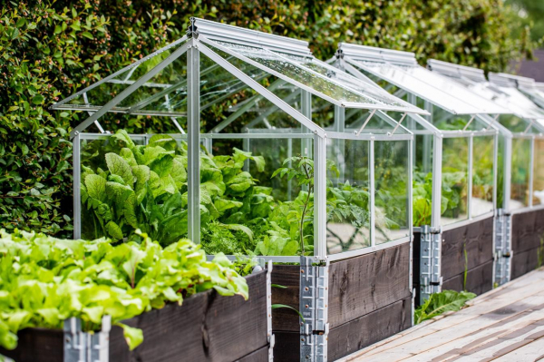 Как сделать теплицу своими руками и из чего. Пошаговая инструкция