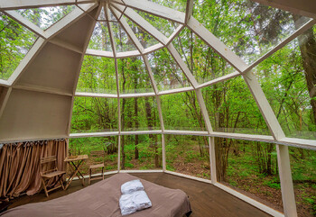 Отдых в Подмосковье становится всё более популярным у туристов