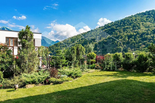 Как выглядят самые дорогие арендные дома в Сочи