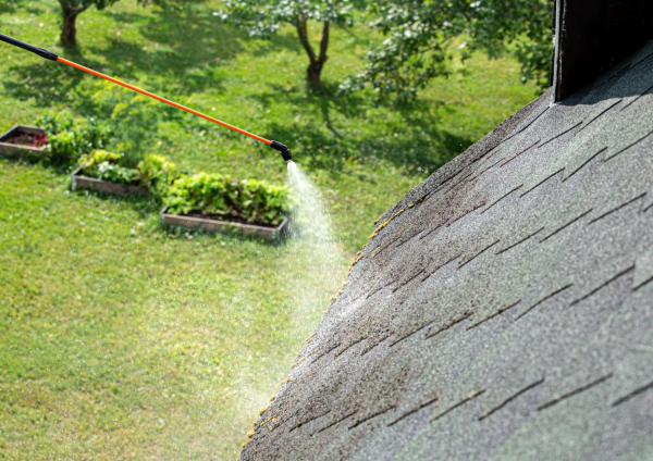 Как избавиться ото мха на участке: 5 действенных способов Как избавиться ото мха на участке: 5 действенных способов