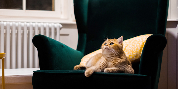 Отключение отопления в Саратове: нормативы и даты в 2025 году Отключение отопления в Саратове: нормативы и даты в 2025 году