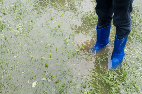 Затопило участок: что делать и куда обращаться Затопило участок: что делать и куда обращаться