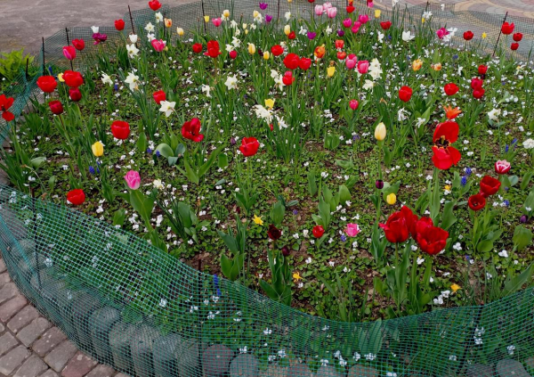 Заборчик для клумбы своими руками: 10 идей Заборчик для клумбы своими руками: 10 идей