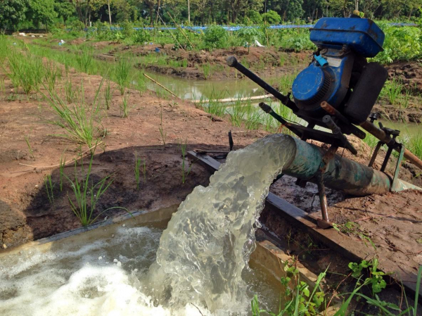 Затопило участок: что делать и куда обращаться Затопило участок: что делать и куда обращаться