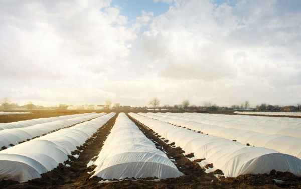 Что такое спанбонд, каким он бывает и для чего используется Что такое спанбонд, каким он бывает и для чего используется