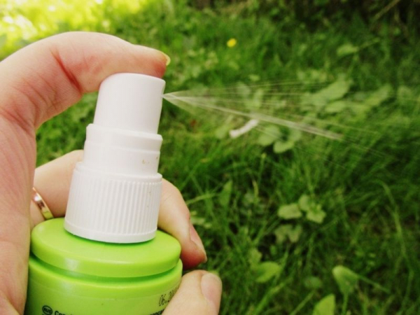 Как не стать жертвой укуса клеща: вот что нужно сделать перед выходом на улицу Как не стать жертвой укуса клеща: вот что нужно сделать перед выходом на улицу