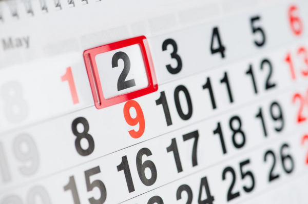 День садовода и огородника: когда и кто отмечает в 2025 году День садовода и огородника: когда и кто отмечает в 2025 году