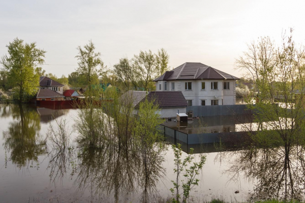 Затопило участок: что делать и куда обращаться Затопило участок: что делать и куда обращаться