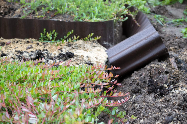 Заборчик для клумбы своими руками: 10 идей Заборчик для клумбы своими руками: 10 идей