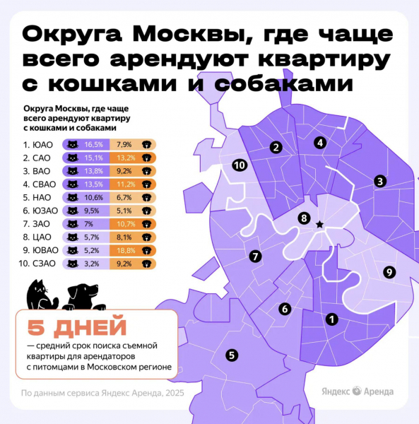 Названы округа Москвы, где чаще снимали квартиры с кошками и собаками Названы округа Москвы, где чаще снимали квартиры с кошками и собаками
