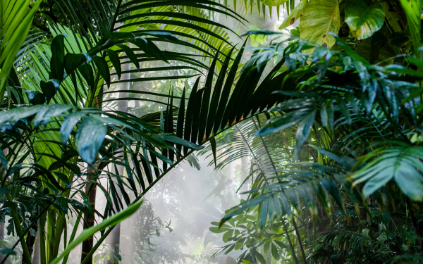 Как просушить дом и предотвратить появление сырости Как просушить дом и предотвратить появление сырости