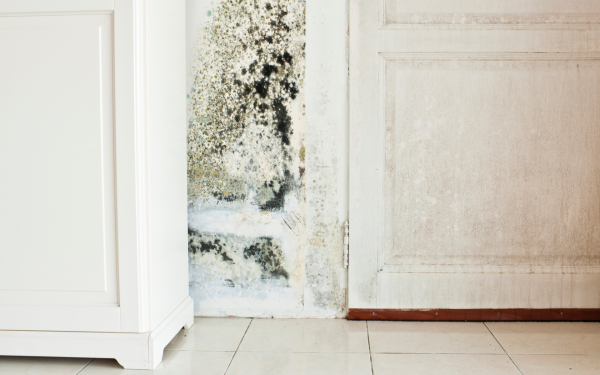 Как просушить дом и предотвратить появление сырости Как просушить дом и предотвратить появление сырости