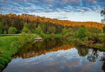 Отдых в Подмосковье становится всё более популярным у туристов