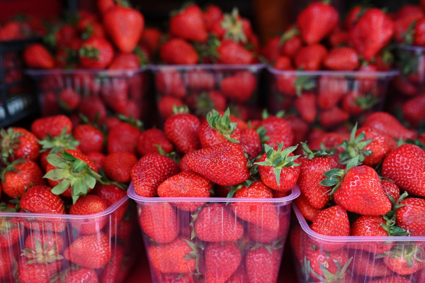 Нутрициолог рассказал, как выбрать клубнику и на что обращать внимание перед покупкой