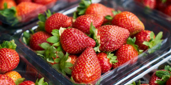Нутрициолог рассказал, как выбрать клубнику и на что обращать внимание перед покупкой