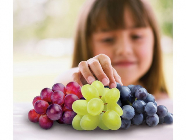 Как защитить виноград от ос и воробьев: 3 креативных подхода Как защитить виноград от ос и воробьев: 3 креативных подхода