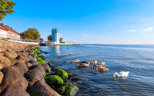 «Домклик» оценил распределение ипотечного спроса в мае 2025 года