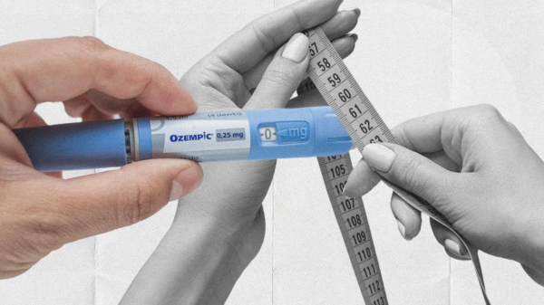 Возвращение лайфхака из СССР: может ли чайный гриб заменить «Оземпик» и диеты