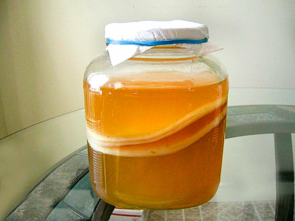 Возвращение лайфхака из СССР: может ли чайный гриб заменить «Оземпик» и диеты