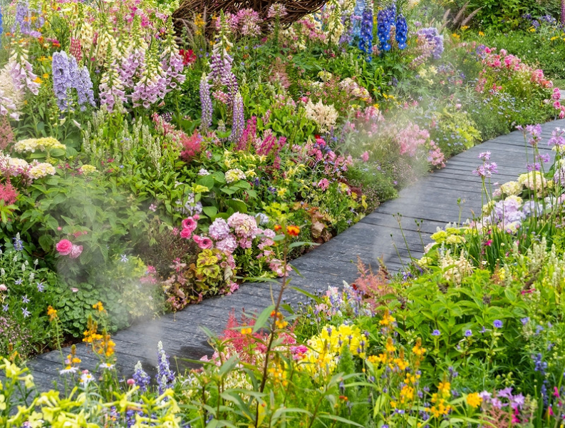 Фестиваль цветов пройдет в Астрахани в конце августа