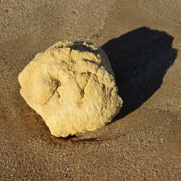 Российские туристы нашли на Пхукете «морское золото»