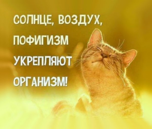 День пофигиста