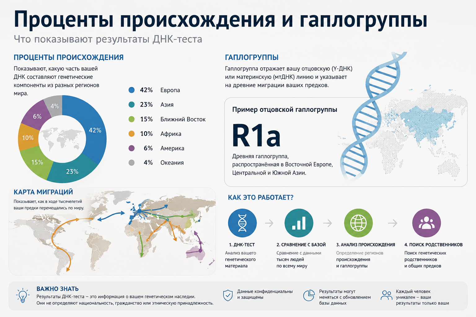 Что означают проценты происхождения и гаплогруппы